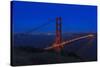 Golden Gate bridge at Night-Galloimages Online-Stretched Canvas