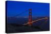 Golden Gate bridge at Night-Galloimages Online-Stretched Canvas