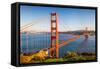 Golden Gate Bridge at Sunset, Sun Francisco-sborisov-Framed Stretched Canvas