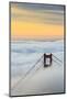 Golden Gate Bridge emerging from the morning fog at sunrise. San Francisco, Marin County, Californi-ClickAlps-Mounted Photographic Print