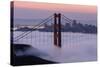 Golden Gate Bridge, Fog, San Francisco, California-Marco Isler-Stretched Canvas