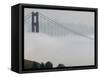 Golden Gate Bridge Fog-Paul Sakuma-Framed Stretched Canvas