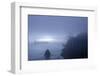 Golden Gate Bridge in fog, San Francisco Bay, San Francisco, California, USA-null-Framed Photographic Print