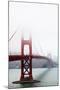 Golden Gate Bridge in San Francisco-Gary718-Mounted Art Print