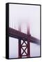 Golden Gate Bridge in the Mist, San Francisco, California, United States of America, North America-Jean Brooks-Framed Stretched Canvas