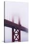 Golden Gate Bridge in the Mist, San Francisco, California, United States of America, North America-Jean Brooks-Stretched Canvas