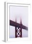 Golden Gate Bridge in the Mist, San Francisco, California, United States of America, North America-Jean Brooks-Framed Premium Photographic Print