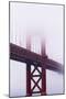 Golden Gate Bridge in the Mist, San Francisco, California, United States of America, North America-Jean Brooks-Mounted Photographic Print