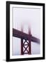 Golden Gate Bridge in the Mist, San Francisco, California, United States of America, North America-Jean Brooks-Framed Photographic Print