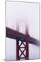 Golden Gate Bridge in the Mist, San Francisco, California, United States of America, North America-Jean Brooks-Mounted Photographic Print