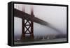 Golden Gate Bridge in the Mist, San Francisco, California, United States of America, North America-Jean Brooks-Framed Stretched Canvas