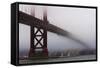Golden Gate Bridge in the Mist, San Francisco, California, United States of America, North America-Jean Brooks-Framed Stretched Canvas