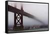 Golden Gate Bridge in the Mist, San Francisco, California, United States of America, North America-Jean Brooks-Framed Stretched Canvas