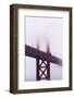 Golden Gate Bridge in the Mist, San Francisco, California, United States of America, North America-Jean Brooks-Framed Photographic Print