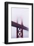 Golden Gate Bridge in the Mist, San Francisco, California, United States of America, North America-Jean Brooks-Framed Photographic Print