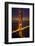 Golden Gate Bridge, Night Vertical with Lights of San Francisco, California in Background-William Perry-Framed Photographic Print