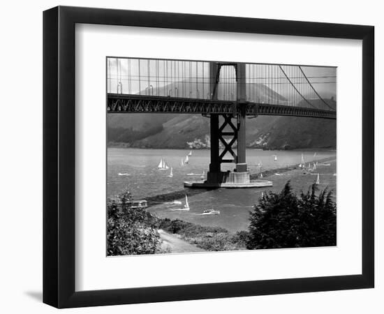 Golden Gate Bridge on Opening Day of the Yacht Season-null-Framed Photographic Print