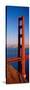 Golden Gate Bridge San Francisco CA-null-Stretched Canvas
