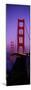 Golden Gate Bridge San Francisco Ca-null-Mounted Premium Photographic Print