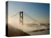 Golden Gate Bridge, San Francisco, California, United States of America, North America-Alan Copson-Stretched Canvas