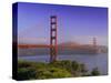 Golden Gate Bridge, San Francisco, California, USA-Gavin Hellier-Stretched Canvas