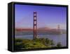 Golden Gate Bridge, San Francisco, California, USA-Gavin Hellier-Framed Stretched Canvas