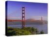 Golden Gate Bridge, San Francisco, California, USA-Gavin Hellier-Stretched Canvas