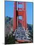 Golden Gate Bridge, San Francisco, California, USA-John Alves-Mounted Photographic Print