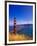 Golden Gate Bridge, San Francisco, California-Adam Jones-Framed Photographic Print