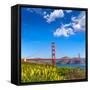 Golden Gate Bridge San Francisco from Presidio in California USA-holbox-Framed Stretched Canvas