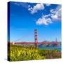 Golden Gate Bridge San Francisco from Presidio in California USA-holbox-Stretched Canvas