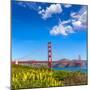 Golden Gate Bridge San Francisco from Presidio in California USA-holbox-Mounted Photographic Print