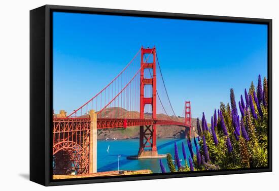 Golden Gate Bridge San Francisco Purple Flowers Echium Candicans in California-holbox-Framed Stretched Canvas