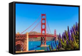 Golden Gate Bridge San Francisco Purple Flowers Echium Candicans in California-holbox-Framed Stretched Canvas