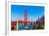 Golden Gate Bridge San Francisco Purple Flowers Echium Candicans in California-holbox-Framed Photographic Print