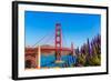 Golden Gate Bridge San Francisco Purple Flowers Echium Candicans in California-holbox-Framed Photographic Print