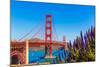 Golden Gate Bridge San Francisco Purple Flowers Echium Candicans in California-holbox-Mounted Photographic Print