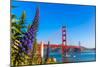 Golden Gate Bridge San Francisco Purple Flowers Echium Candicans in California-holbox-Mounted Photographic Print