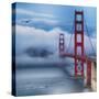 Golden Gate Bridge VIII-Rita Crane-Stretched Canvas