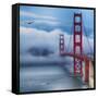 Golden Gate Bridge VIII-Rita Crane-Framed Stretched Canvas