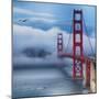 Golden Gate Bridge VIII-Rita Crane-Mounted Photo