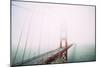 Golden Gate Bridge White Out, Foggy Day at San Francisco-Vincent James-Mounted Photographic Print