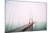 Golden Gate Bridge White Out, Foggy Day at San Francisco-Vincent James-Mounted Photographic Print