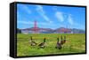 Golden Gate Bridge with Gooses-prochasson-Framed Stretched Canvas