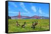 Golden Gate Bridge with Gooses-prochasson-Framed Stretched Canvas