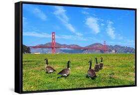 Golden Gate Bridge with Gooses-prochasson-Framed Stretched Canvas
