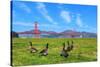 Golden Gate Bridge with Gooses-prochasson-Stretched Canvas