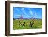 Golden Gate Bridge with Gooses-prochasson-Framed Photographic Print