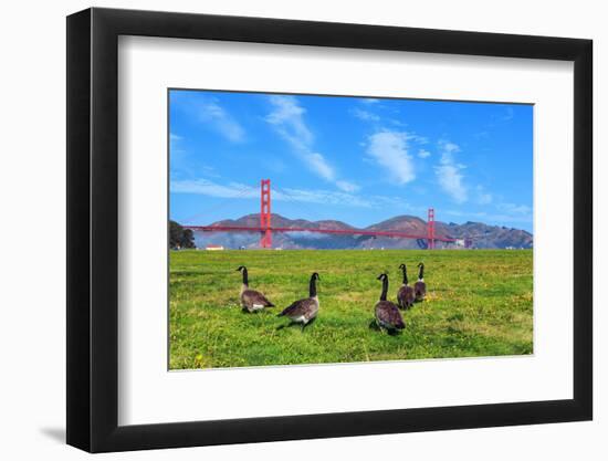 Golden Gate Bridge with Gooses-prochasson-Framed Photographic Print