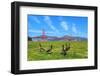 Golden Gate Bridge with Gooses-prochasson-Framed Photographic Print